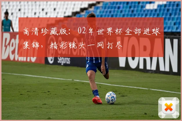 高清珍藏版:02年世界杯全部进球集锦,精彩镜头一网打尽