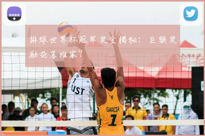 排球世界杯冠军奖金揭秘：巨额奖励花落谁家？