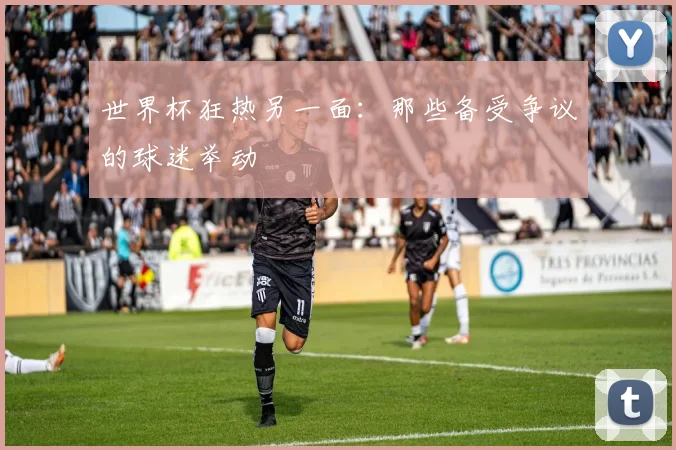 世界杯狂热另一面：那些备受争议的球迷举动