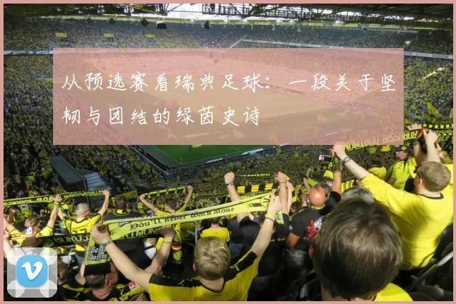 从预选赛看瑞典足球：一段关于坚韧与团结的绿茵史诗